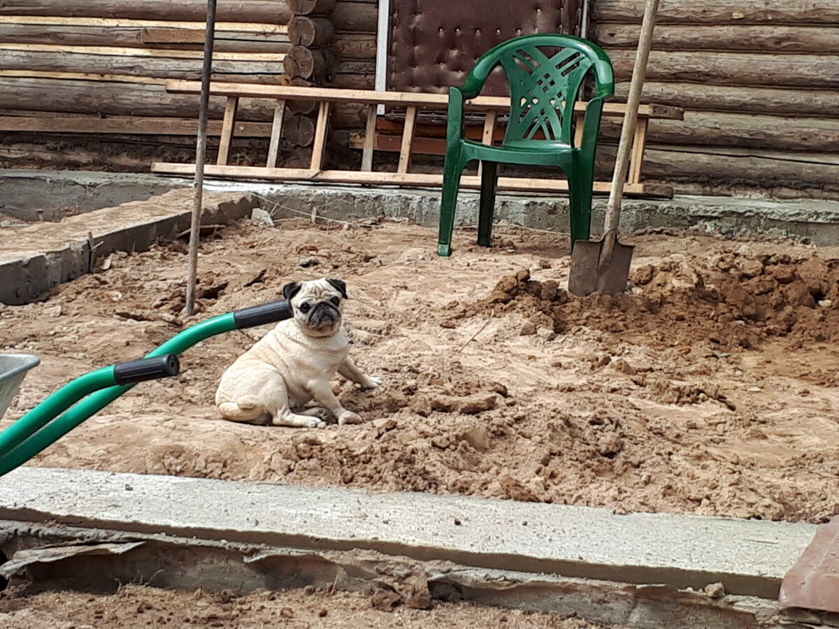 Пристройка к дому за один сезон. Как мы удвоили площадь дома и количество  комнат | В свободное от работы время | Дзен