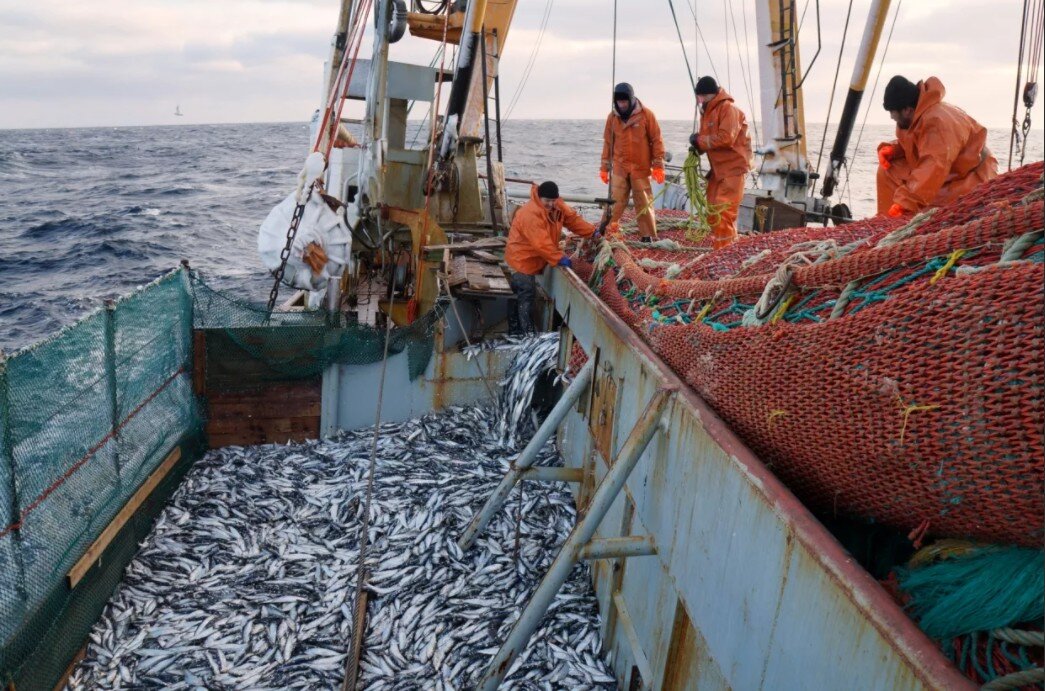 Россия дала право Белоруссии ловить рыбу в своих водах