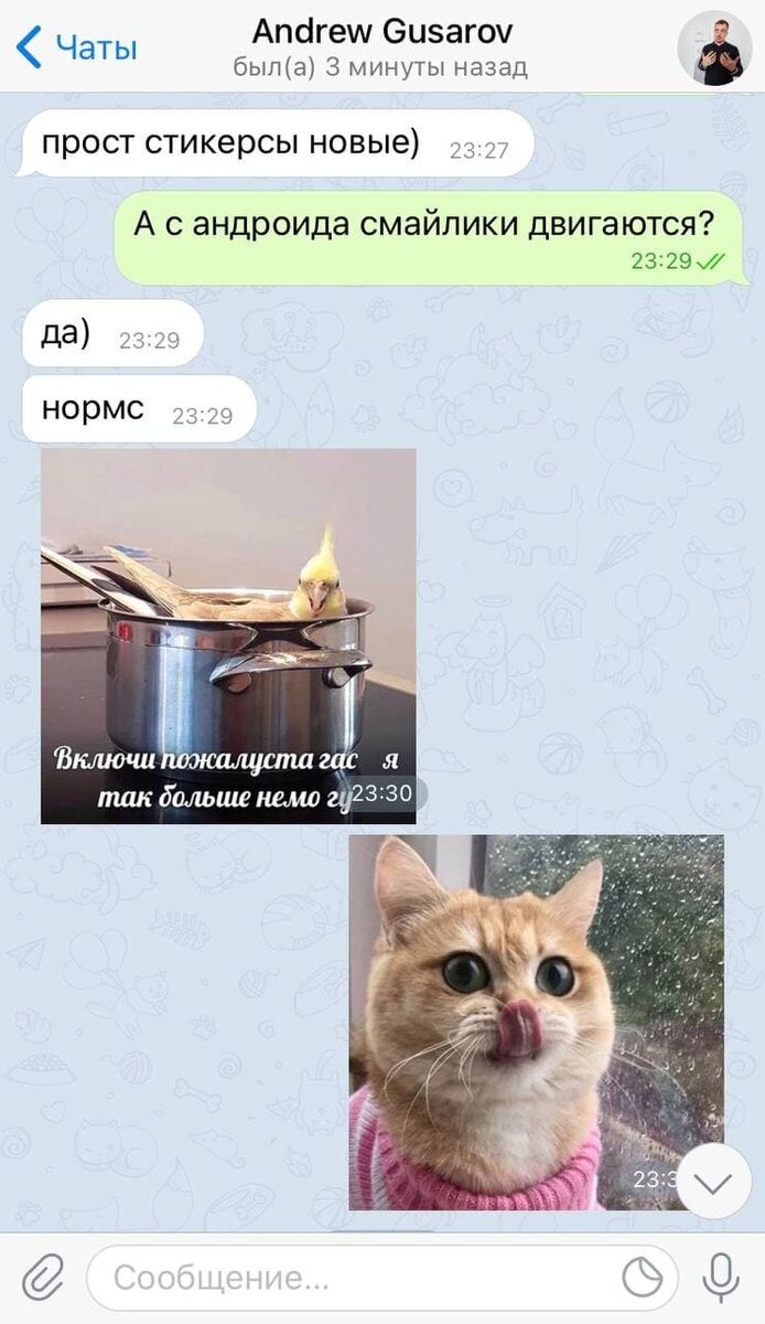 Тестим новые стикеры :D