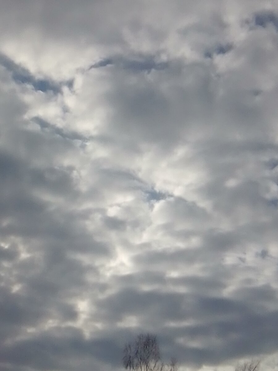 Личное фото