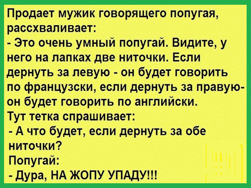 Шутки умных людей. Умные анекдоты. Очень умный анекдот. Анекдоты умные и смешные. Мудрые анекдоты.