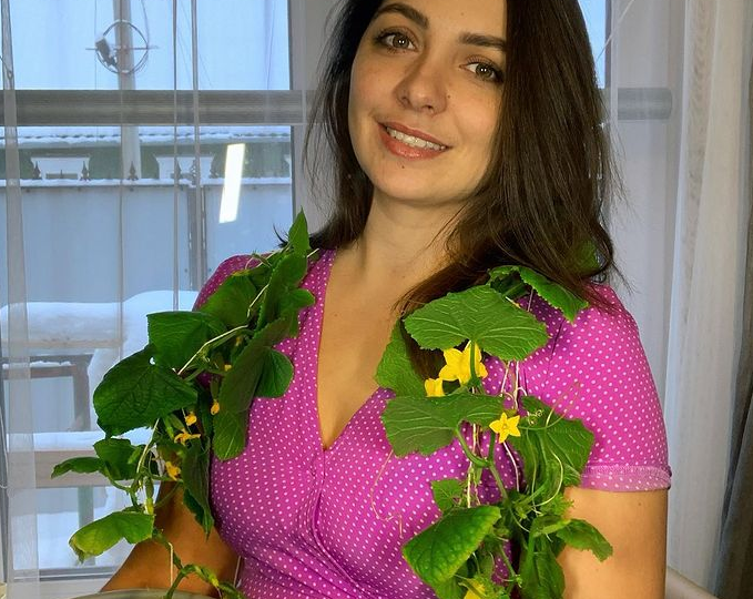 Сказка про огурцы на подоконнике