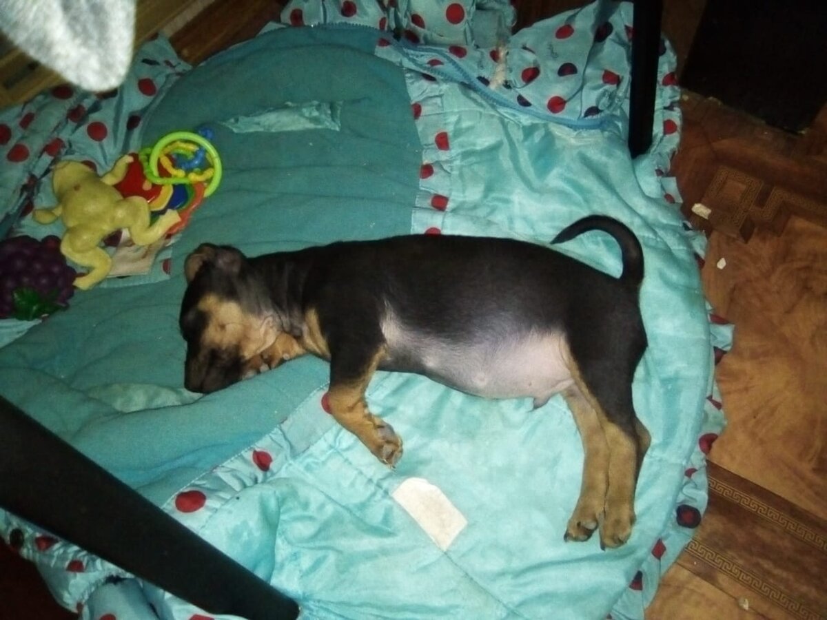 Фото из личного архива