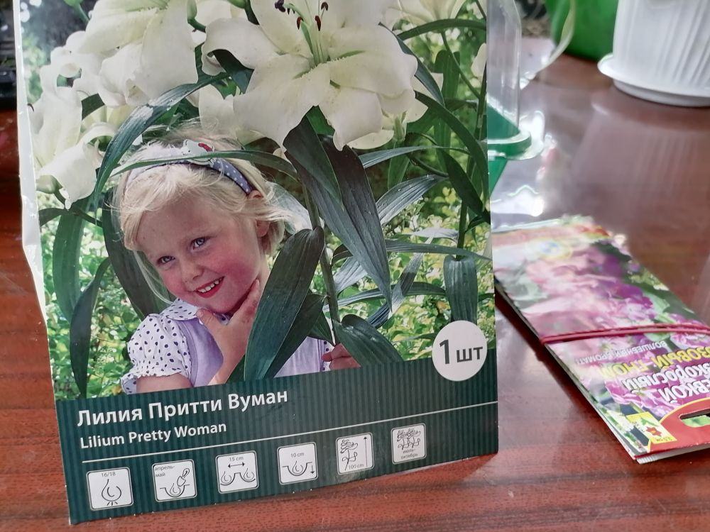 Упаковка с луковицей Претти Вумен у меня дома :)