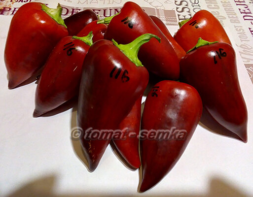 violet sparkle (фиолетовый блеск)