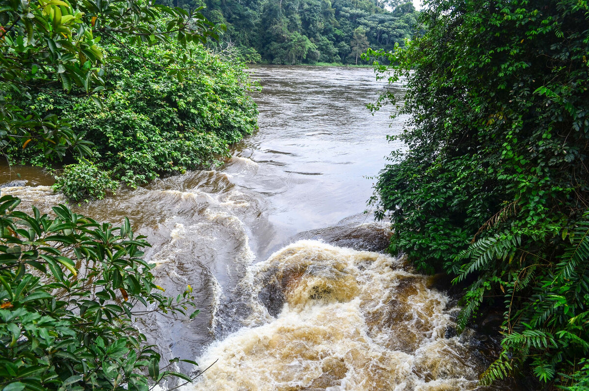 Первая река в мире. Река Конго. Река Конго в Африке. Долина Конго. Река Луалаба.