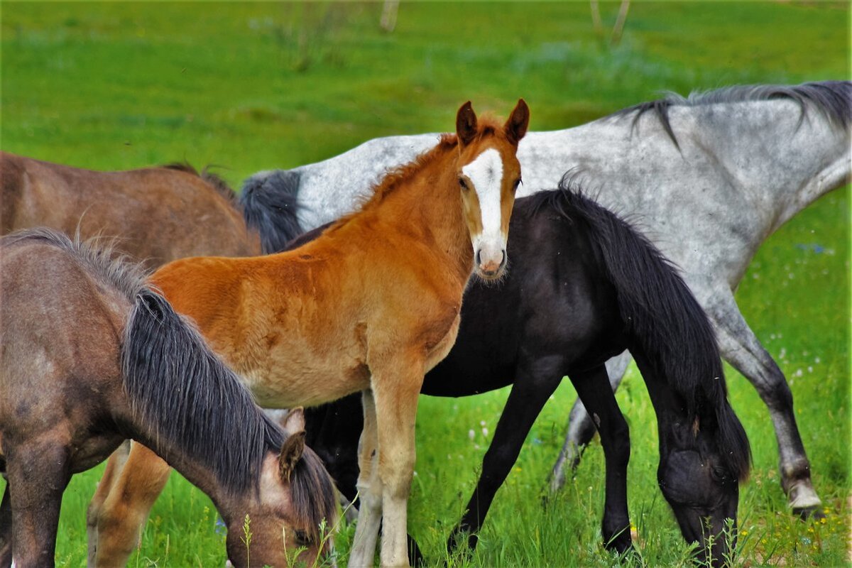 Фото из открытых источников.