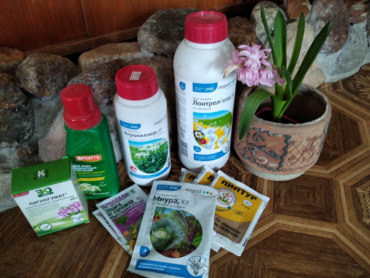 Мои новоприобретения для сада