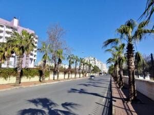 В Турцию самостоятельно