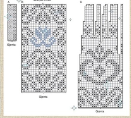 Фото из интернета