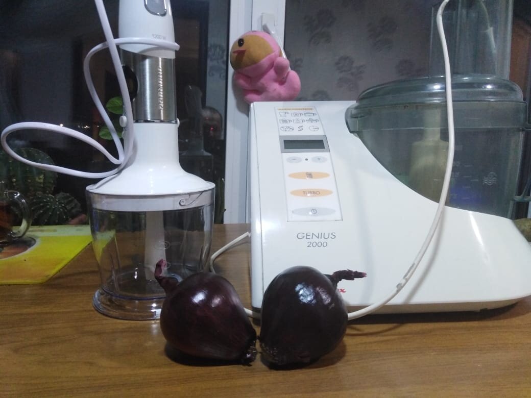 Фото автора. Новый китайский блендер и 25-летний французский комбайн