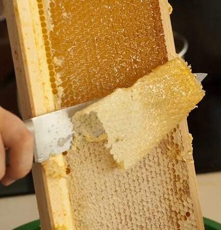 ЗРЕЛЫЙ МЕД ПЧЕЛЫ ЗАКРЫВАЮТ КРЫШЕЧКАМИ, Т.Е. ПЕЧАТАЮТ. СРЕЗАННЫЕ КРЫШЕЧКИ - ЭТО ЗАБРУС