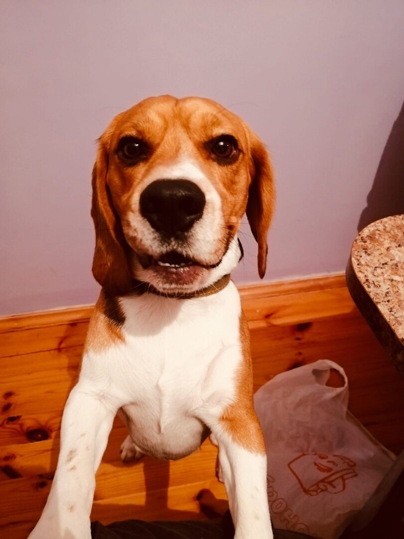 Фото: https://vk.com/club202871281?z=album-202871281_278847223