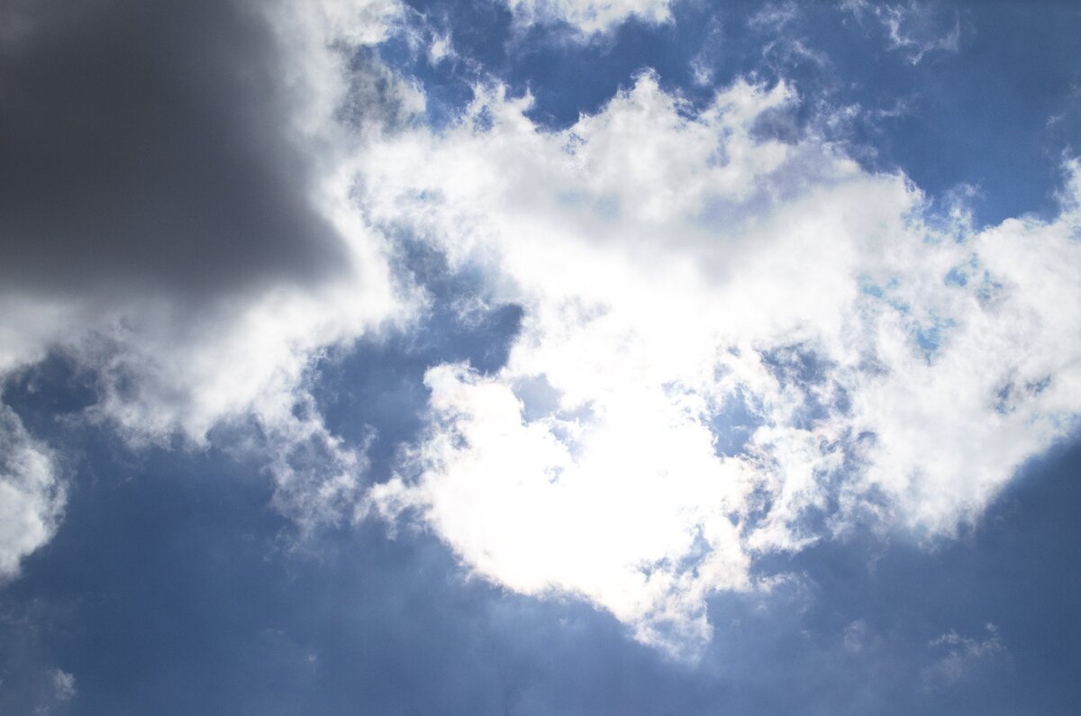 Фото: pxhere.com