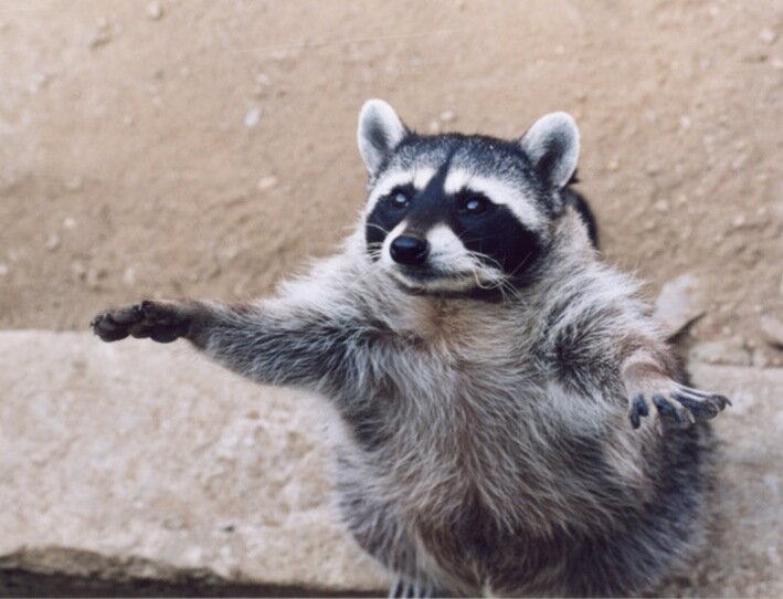 "Все под контролем! Остальное слухи..." Изображение взято из открытых источников Internet