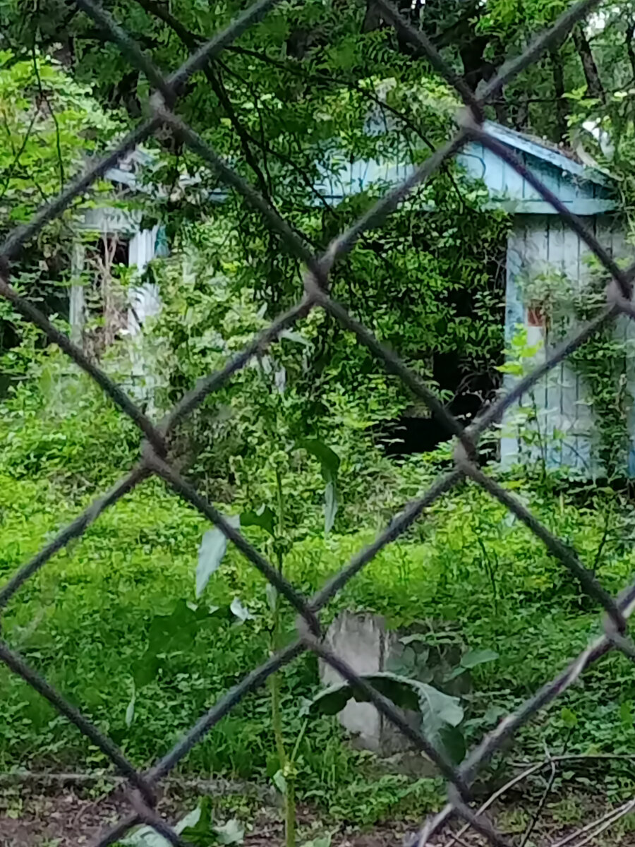 забор вокруг лагеря