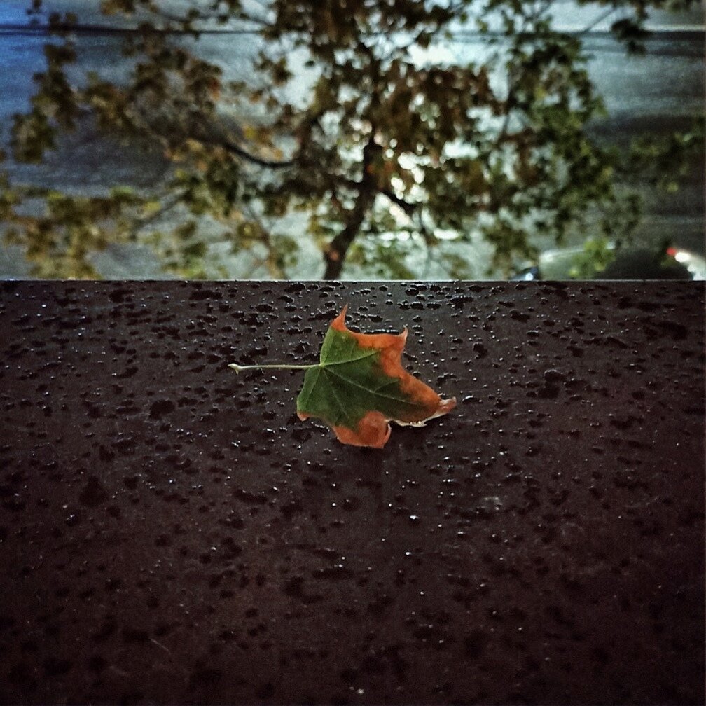 Август-Сентябрь (фото Врублевская М.В. https://www.instagram.com/vrublevskaya_m/)