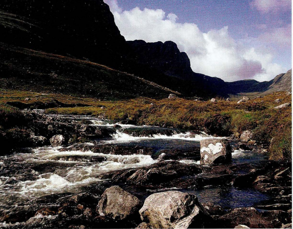 Качество воды из горных источников в шотландском Хайленде было одной из причин, почему так много вискикурен было создано именно здесь .