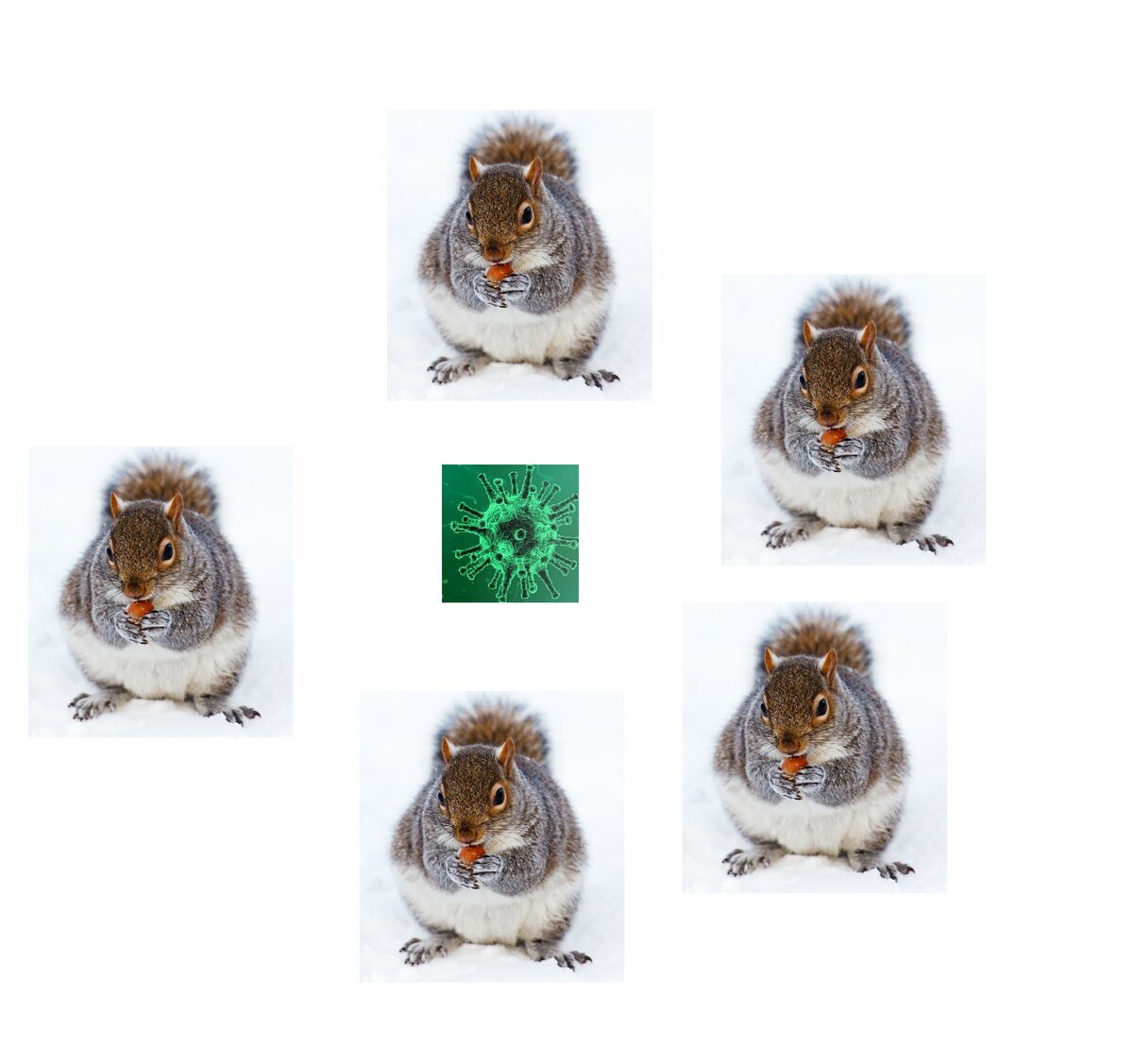 Добавьте описание