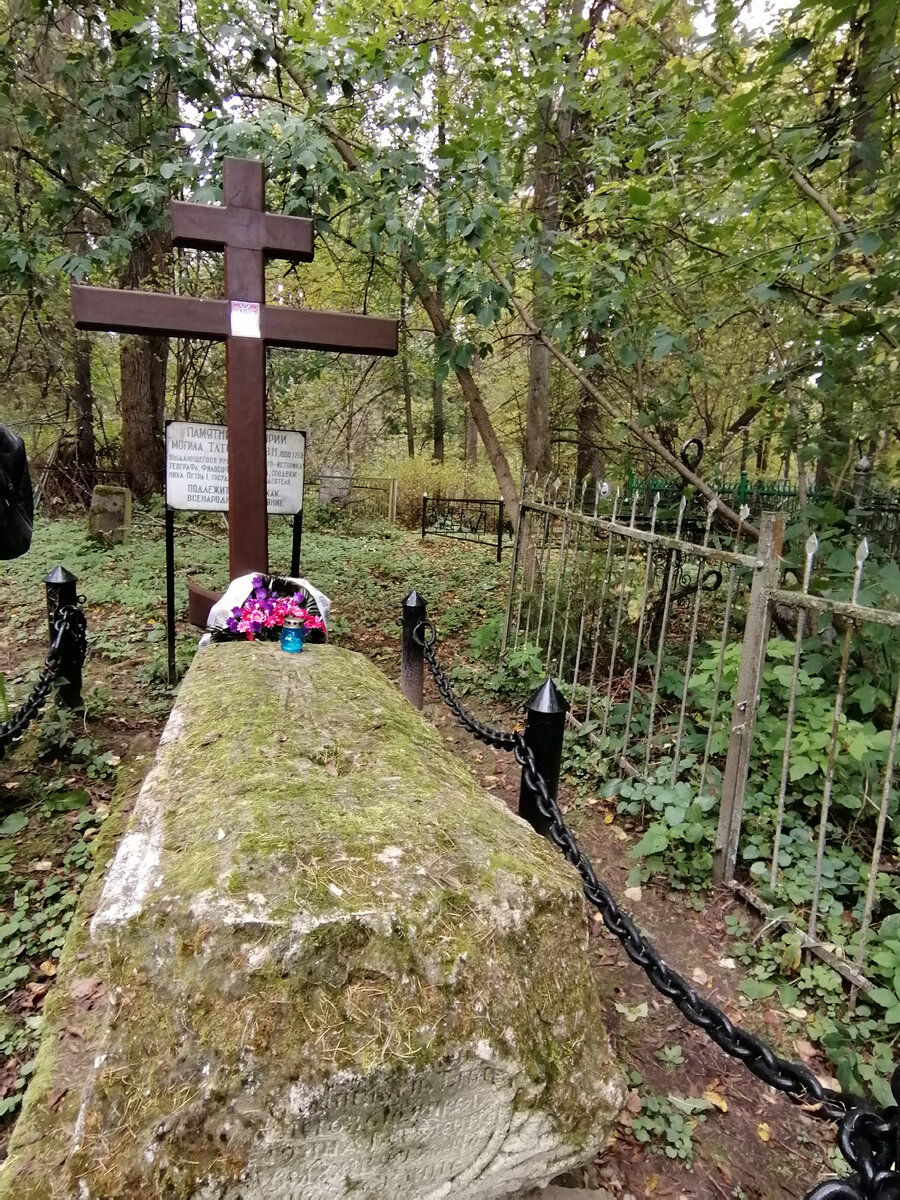 Усадьба Татищева Болдино в Солнечногорском районе поросла борщевиком |  Капля. Центр | Дзен