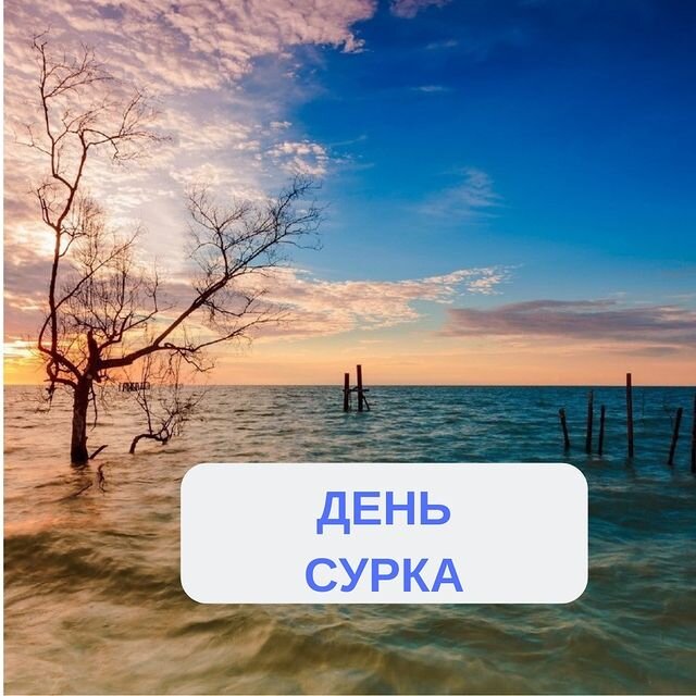 День сурка