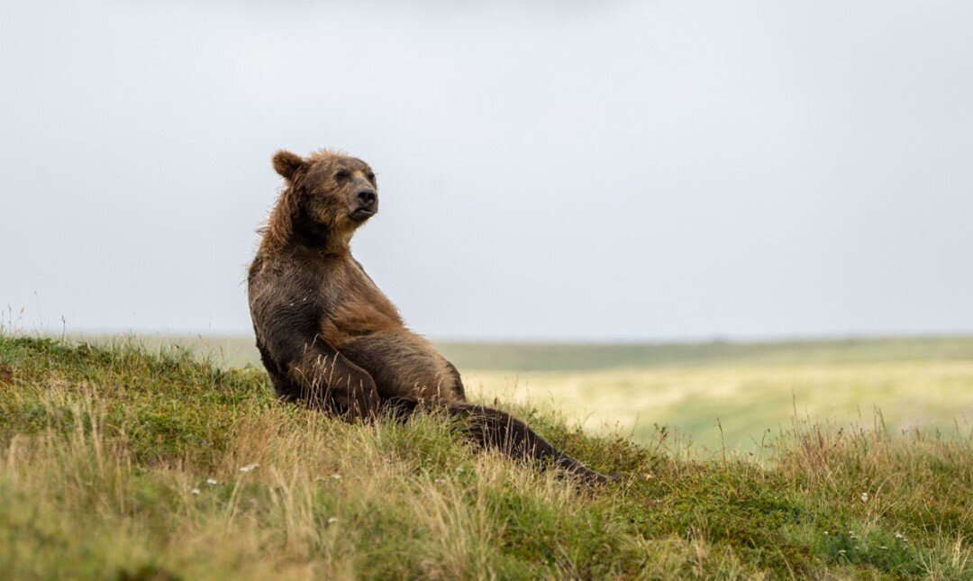 Фото: © instagram.com/katmainpp/
