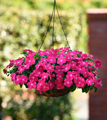 Фото из свободного доступа в интернете