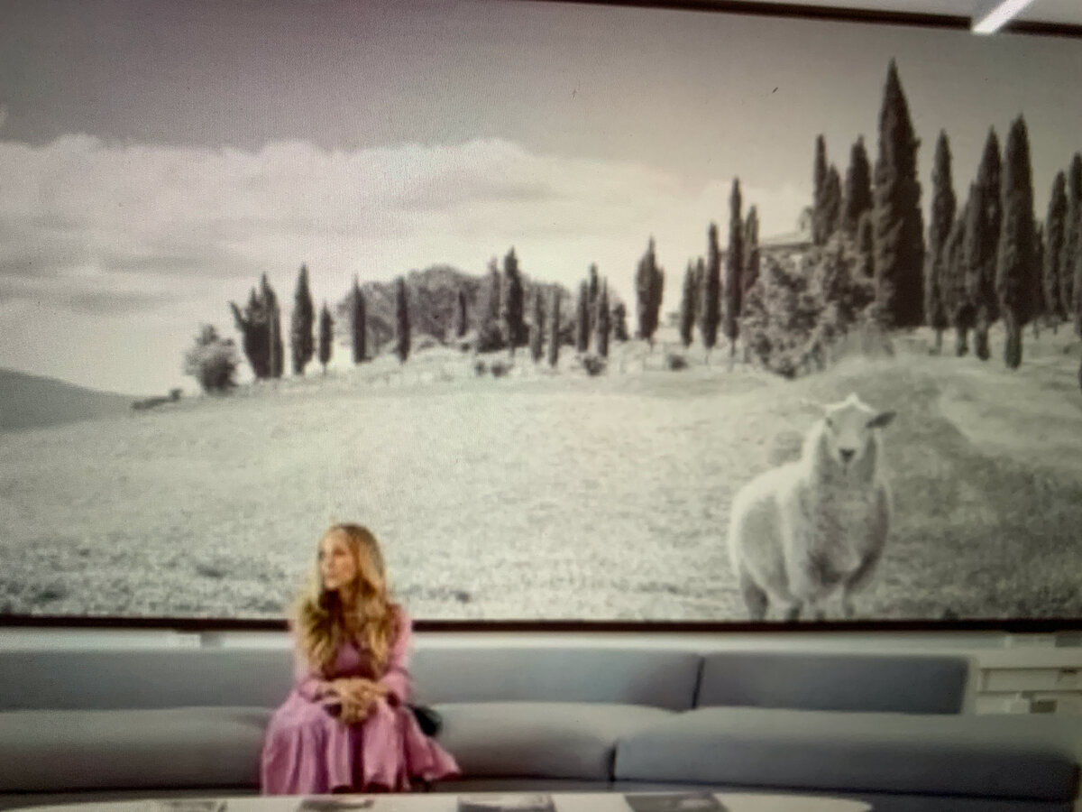 бедная овечка