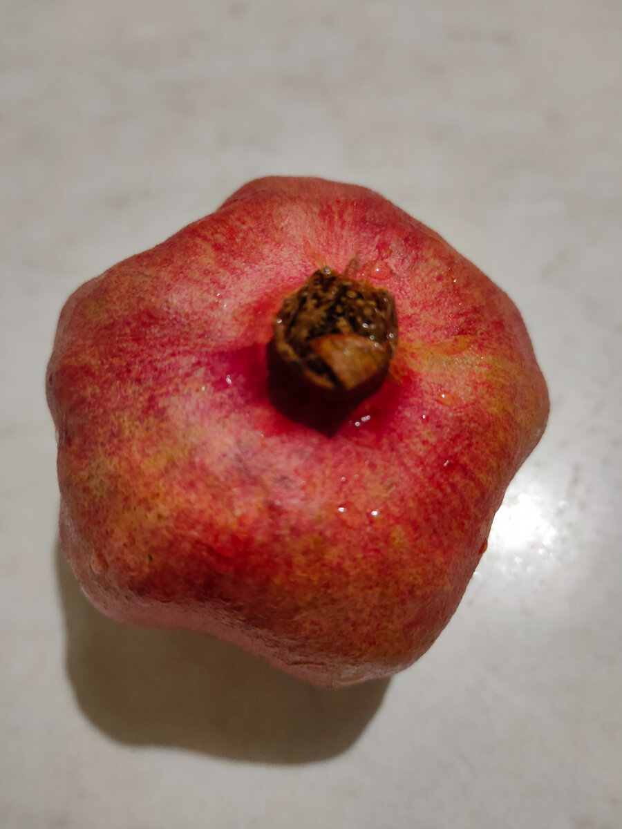 гранат из ХлебСоли (отзыв) Вещи Олега