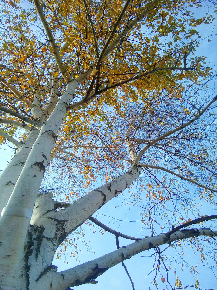 Бойтесь своих желаний, они имеют свойство сбываться.. А лучше давайте вместе учиться мечтать так, чтобы мечты исполнялись и именно так как нужно нам!