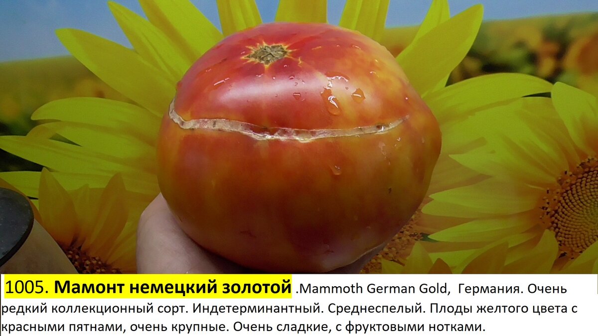 -154