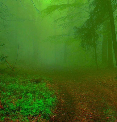 картинка взята из интернета в качестве иллюстрации. автор не указан.