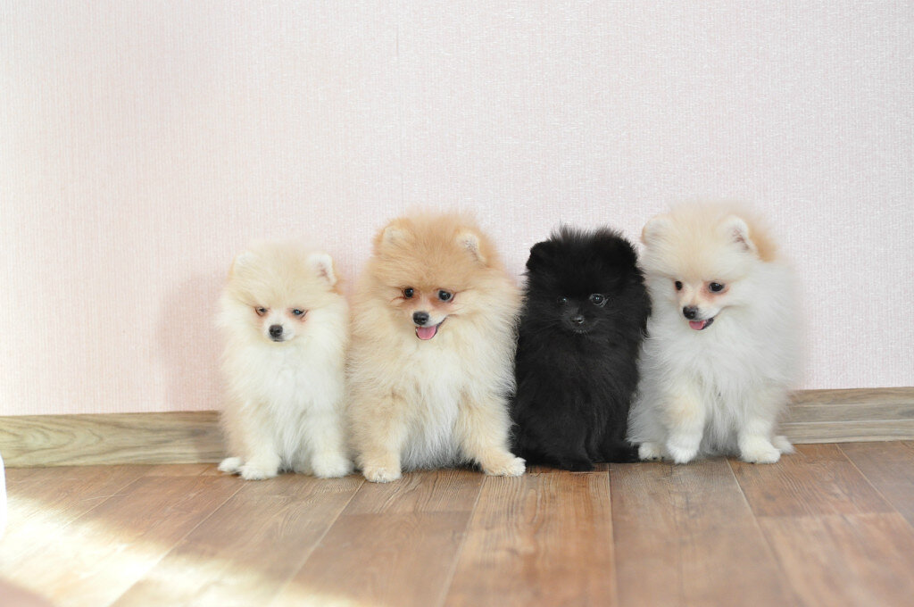 из личных альбомов