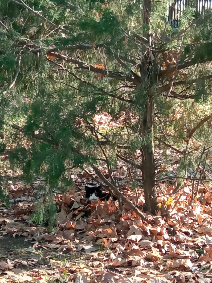 Фото из личного архива