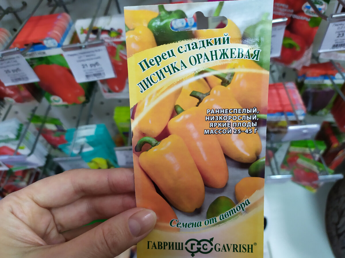 2 фото автора Лисичка оранжевая (листайте вправо)