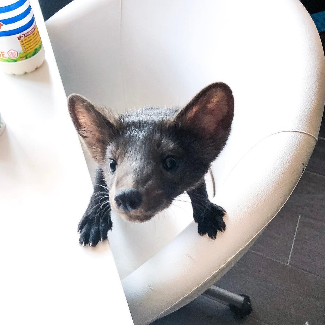 Страшно но жутко интересно.