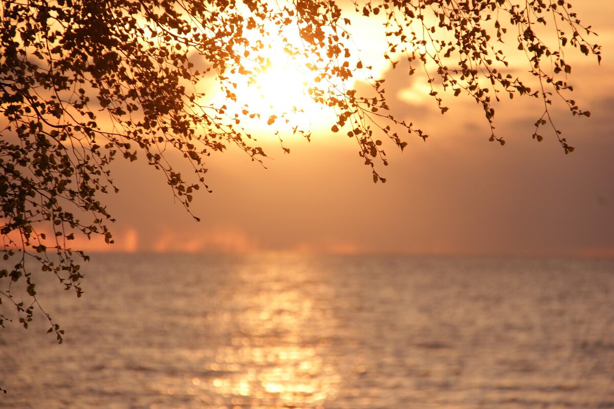 фото:pixabay.com