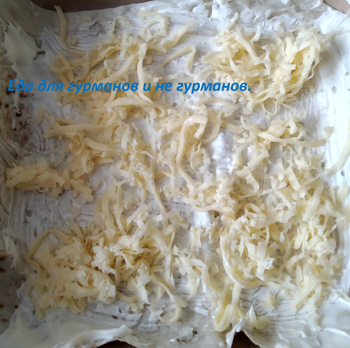 Сыр на лаваше