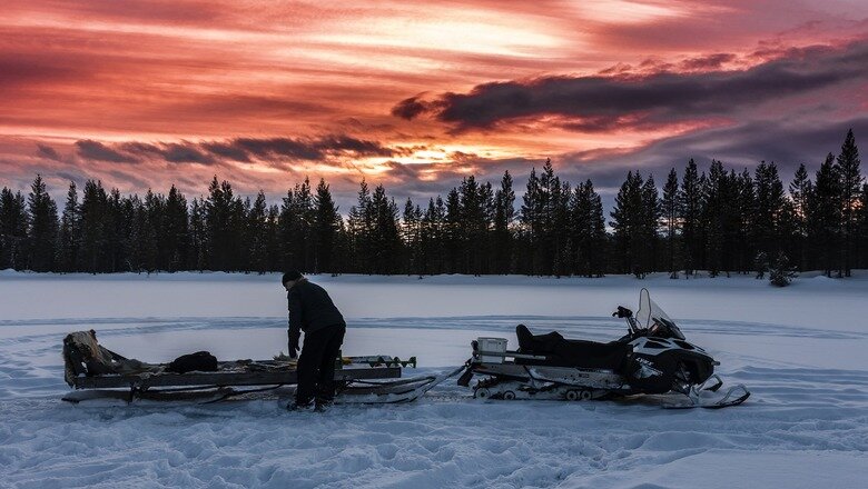 Фото: pixabay.com Чукотским медвежьим патрулям закупили снегоходы и квадроциклы