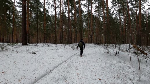 Один в лесу утопая в снегу - Бушкрафт по народному