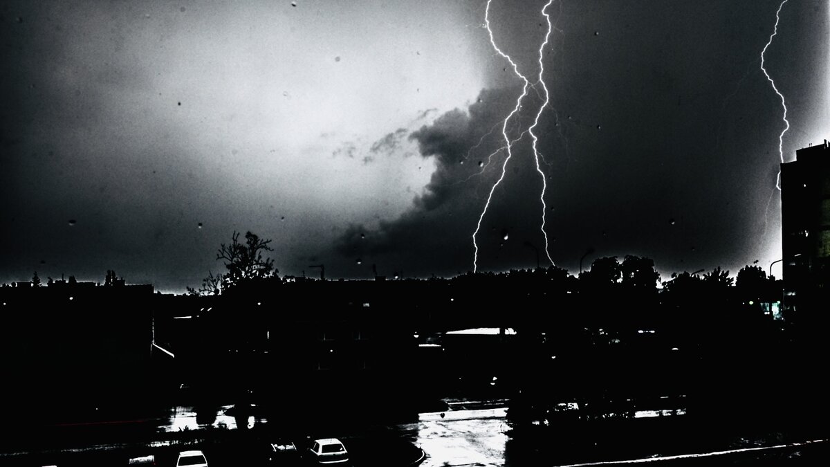 Источник Яндекс Картинки