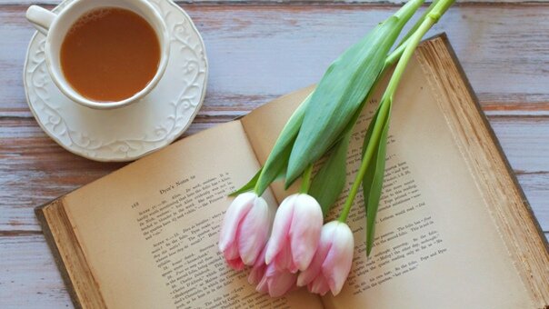 фото Яндекс Картинки