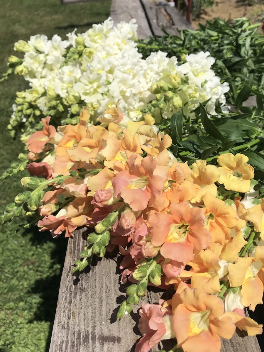 Фото из личного архива. Лето 2021