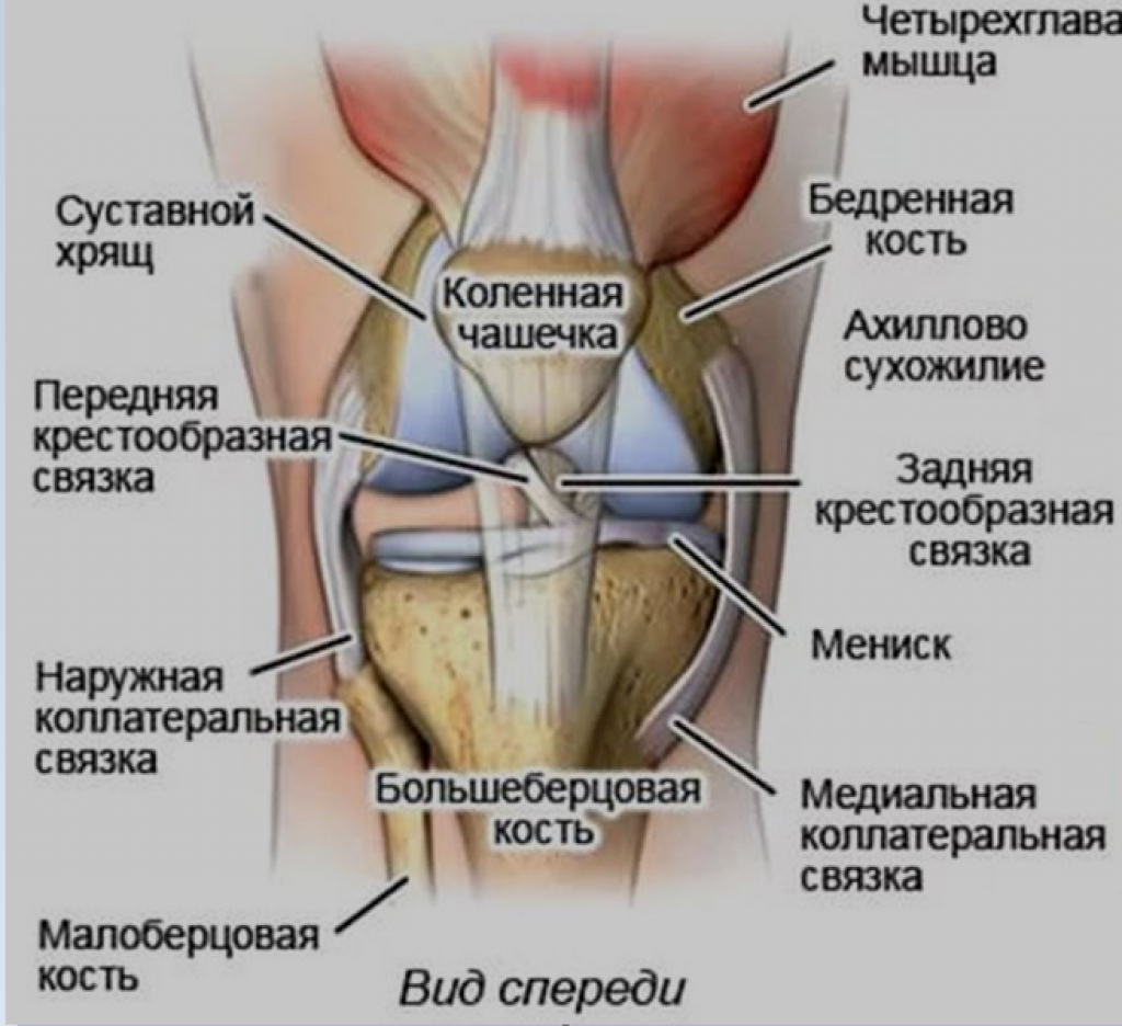 В правое колено долили слой