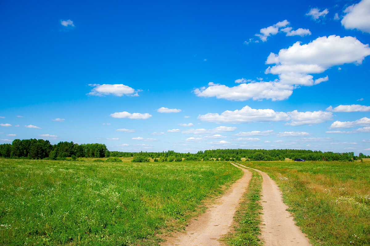 Село стало