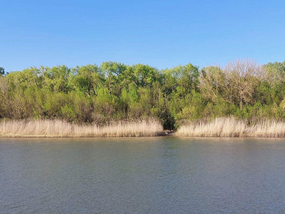 Фото автора Дон