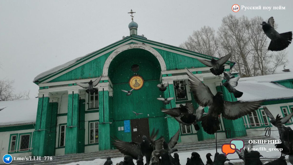 "мы вас научим родину любить"? Русский ноунейм и Ольга Кормухина