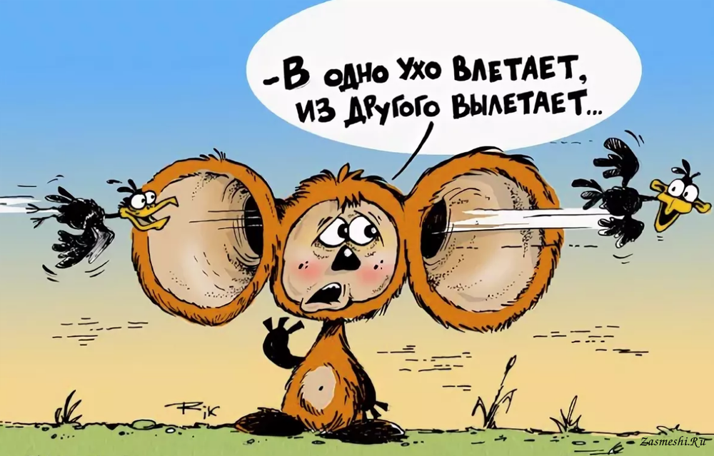Фразеологизм пропустить мимо. В одно ухо влетело в другое. В одно ухо влетело в другое вылетело. В одно ухо влетело в другое вылетело картинка.
