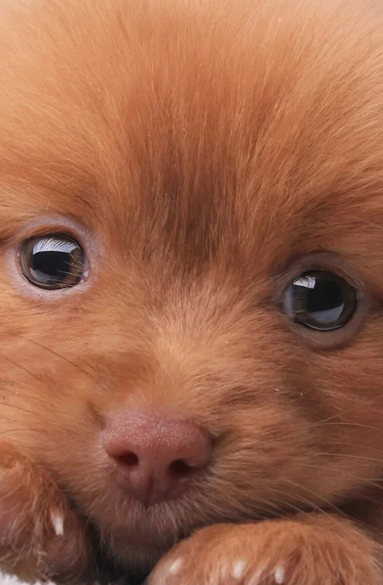 Фото из Интернета. 