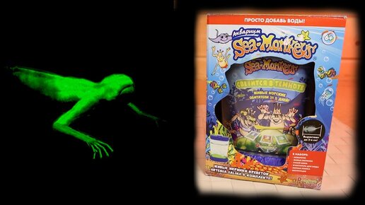 СВЕТИТСЯ В ТЕМНОТЕ Морские Обезьянки Выросли из икринок Sea Monkeys